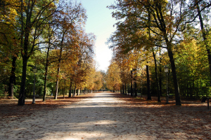 Parco_Ducale_Parma