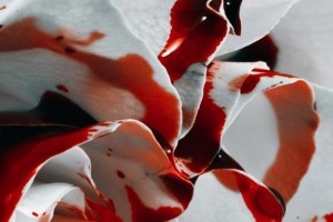 sangue