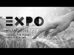 Expo