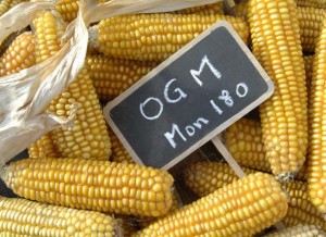 OGM-mon