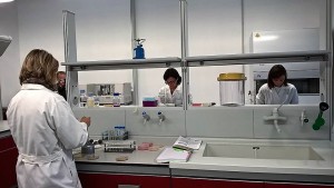 laboratorio