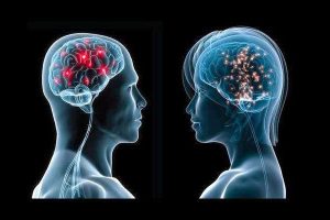 cervello-uomo-e-donna