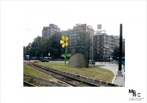 Il fiore e la pietra - Debora Hirsch