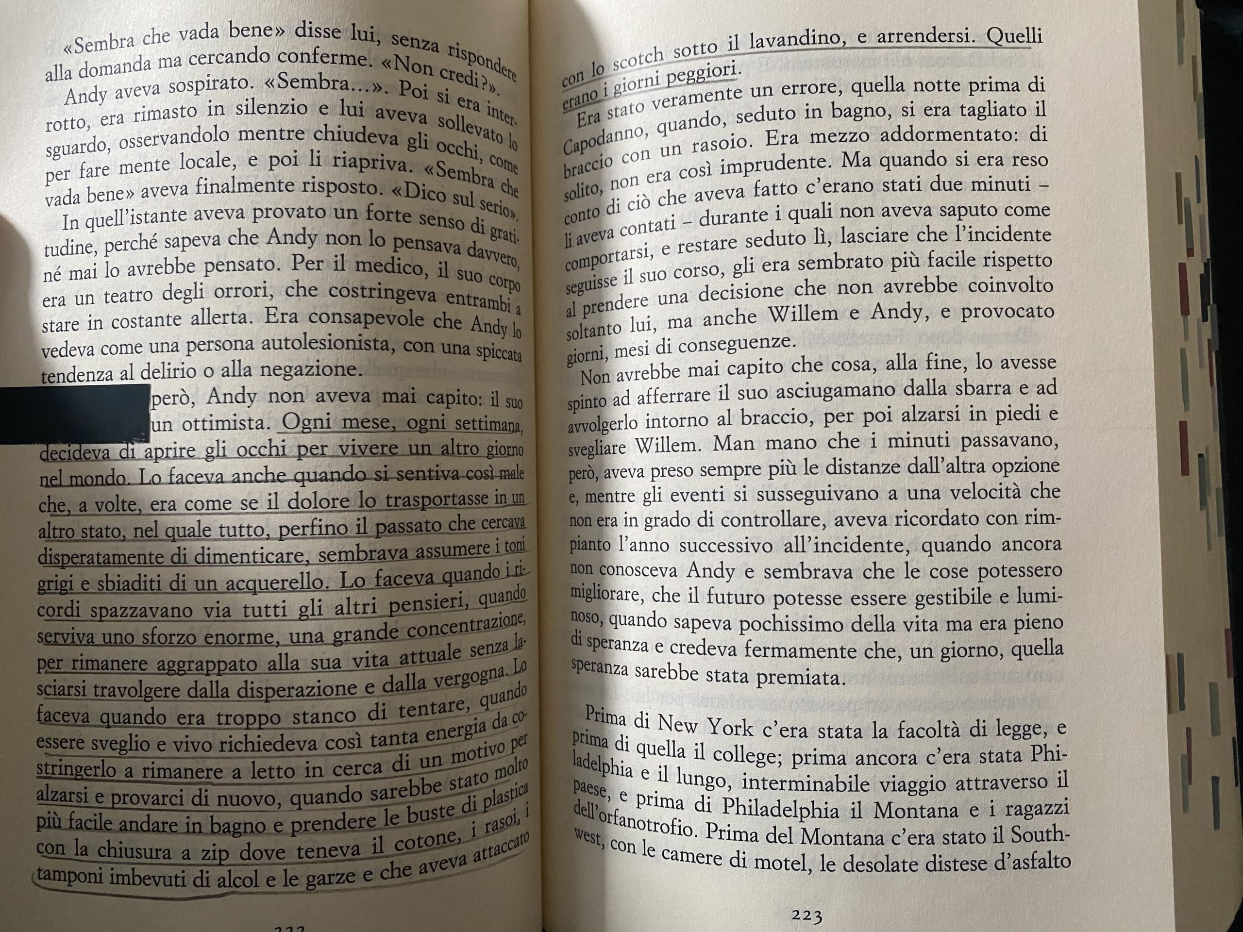 UNA VITA COME TANTE di Hanya Yanagihara merita così tanto come dicono?