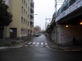 v.palermo4